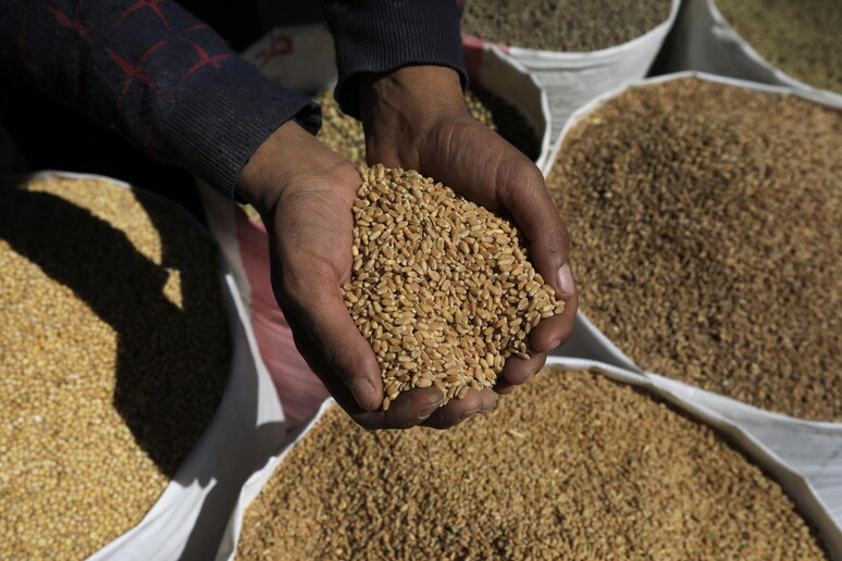 欧盟批准对俄罗斯小麦增加关税
